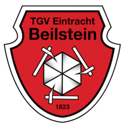TGV E. Beilstein