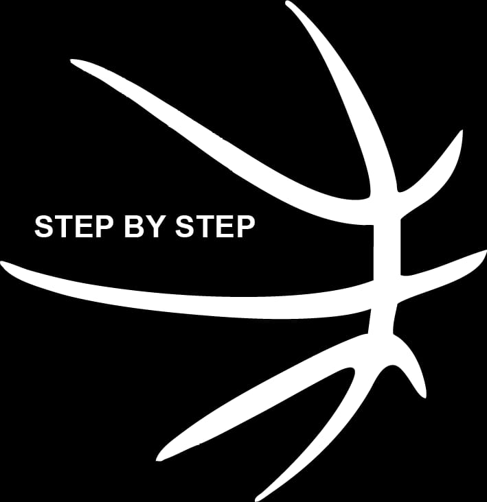 STEP BY STEP