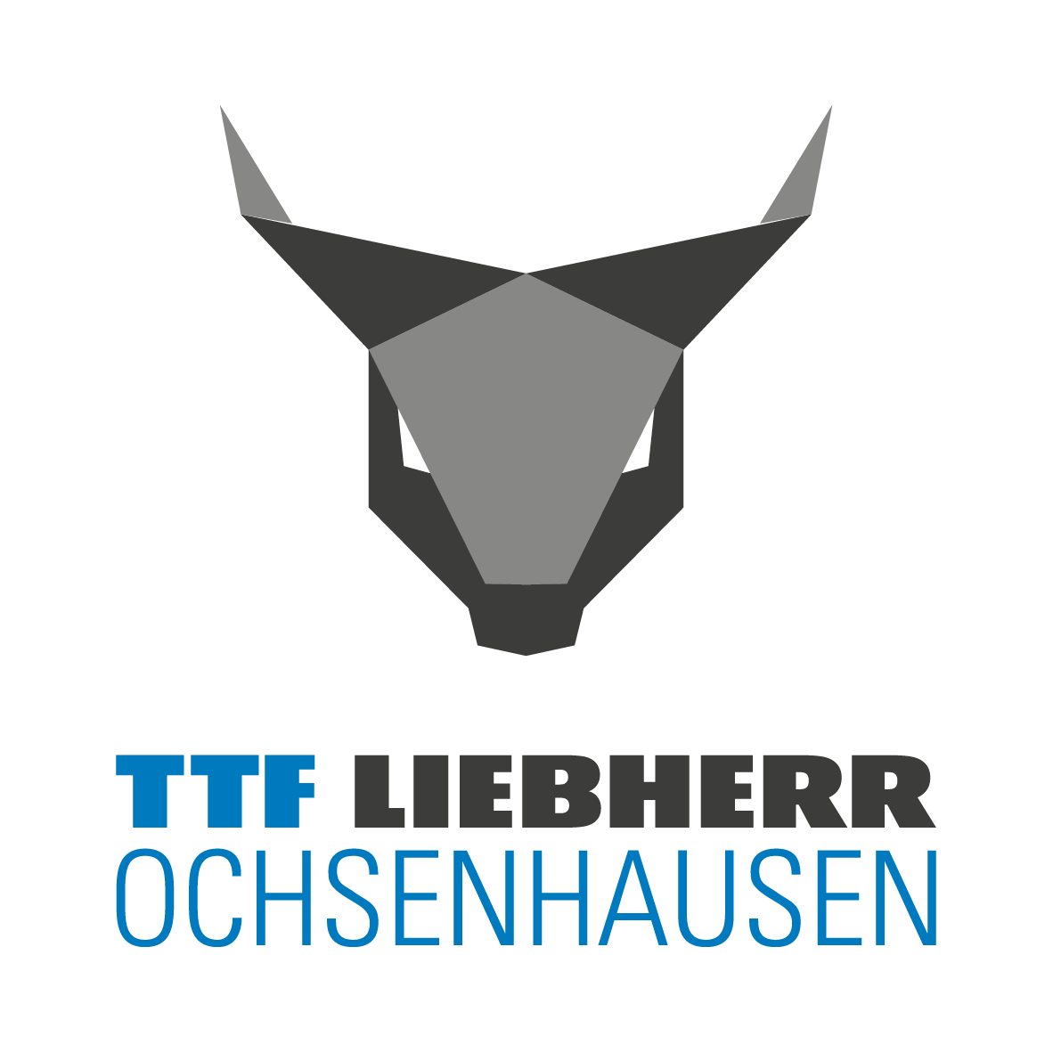 TTF Liebherr Ochsenhausen