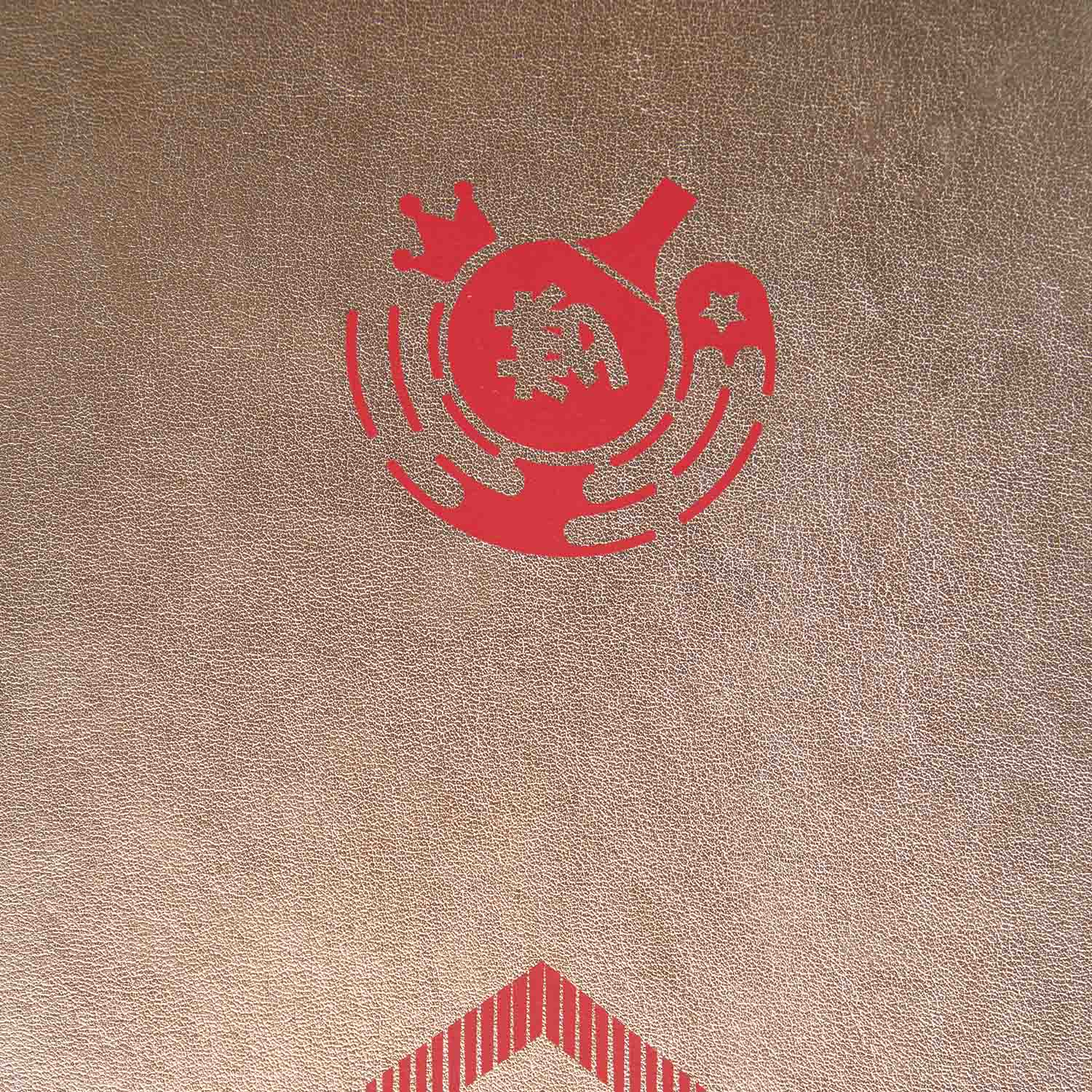 Tischtennis Chen Meng Schlägerhülle National Team 2025 gold - ABJU033-6