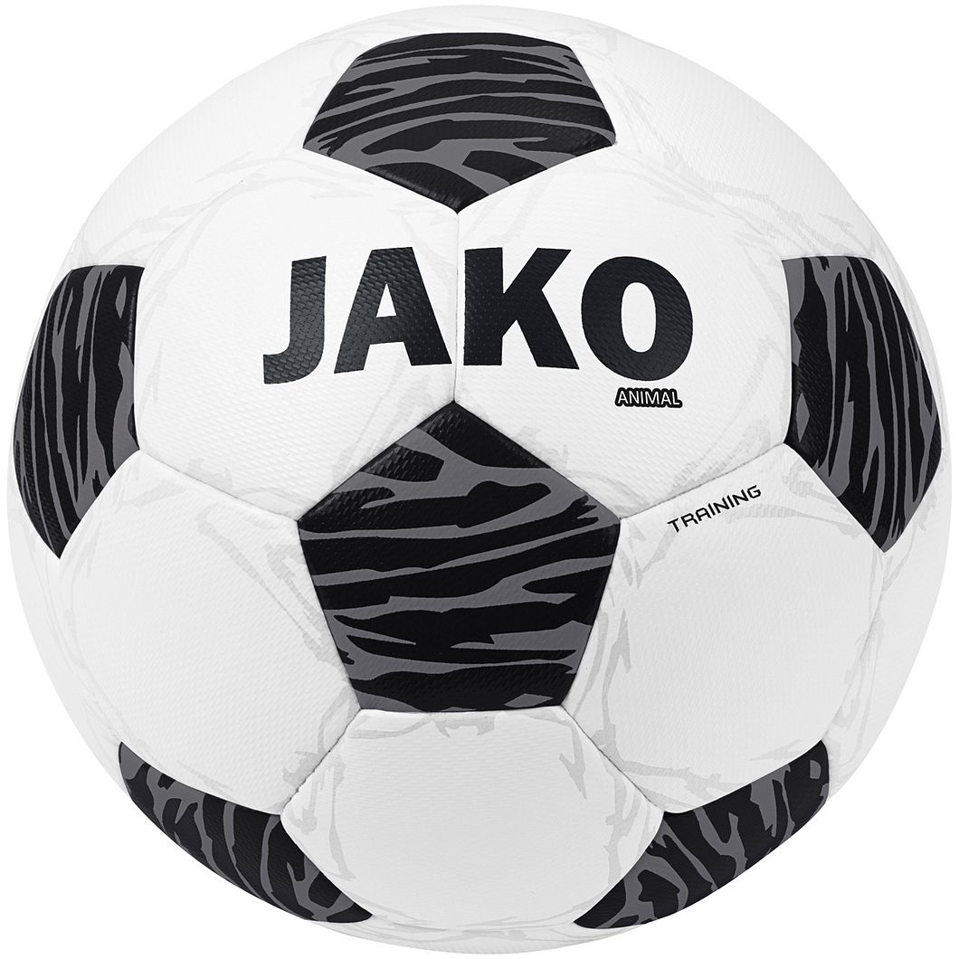 Animal Trainingsball