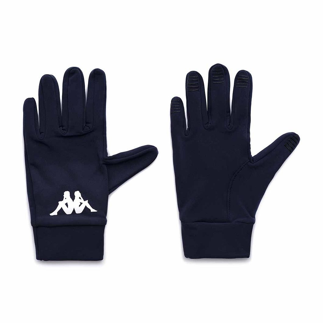 Aves 3 Pro Team Handschuhe