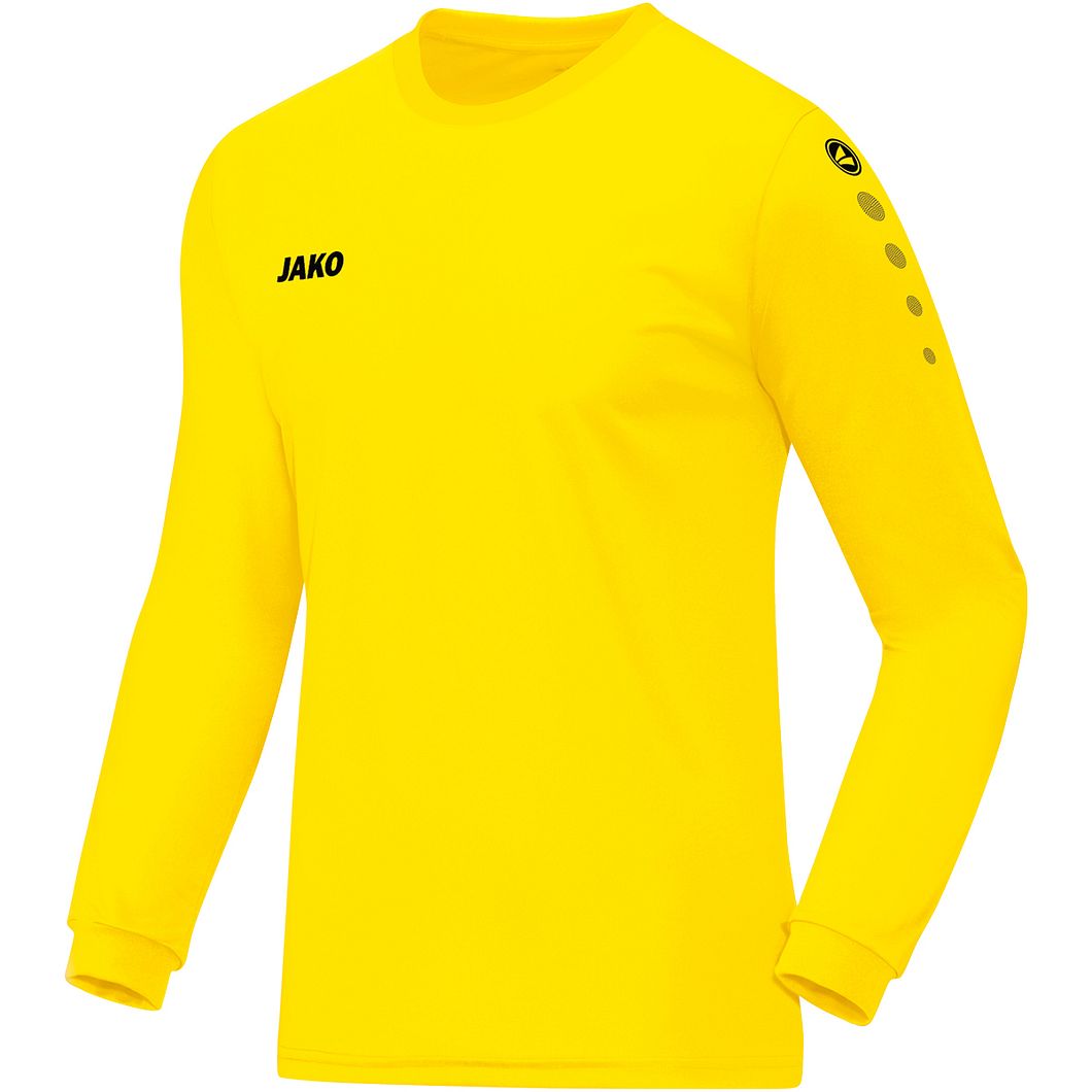 Team Langarmtrikot