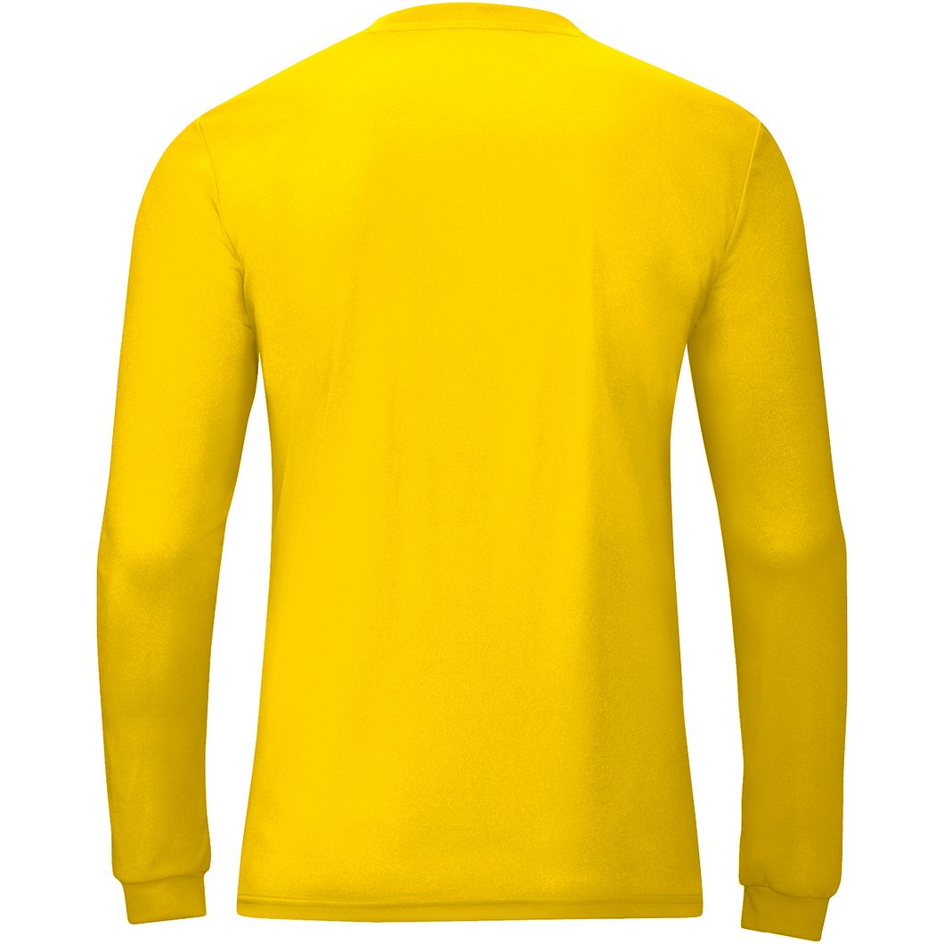 Team Langarmtrikot