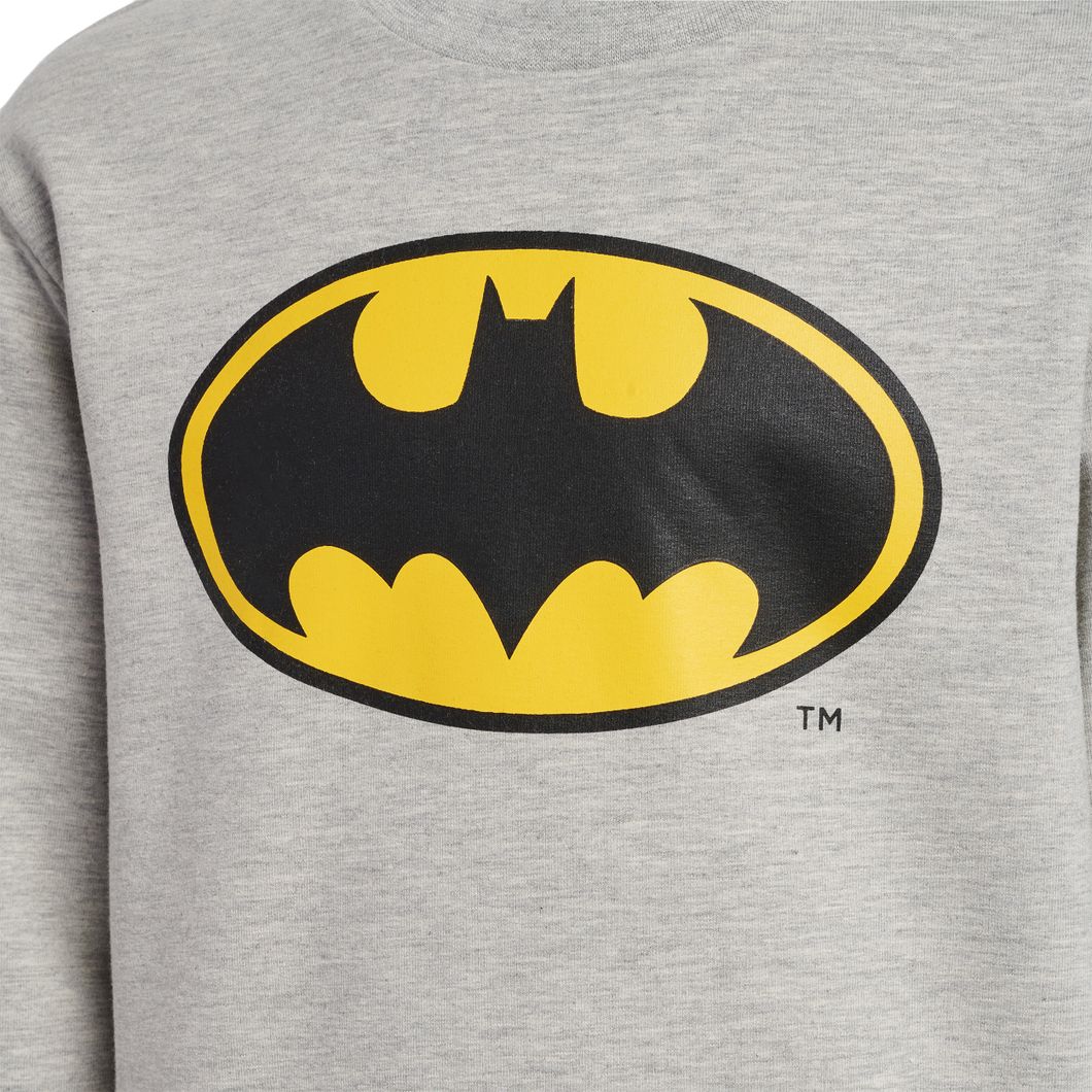 hmlBATMAN DOS Sweatshirt Kids