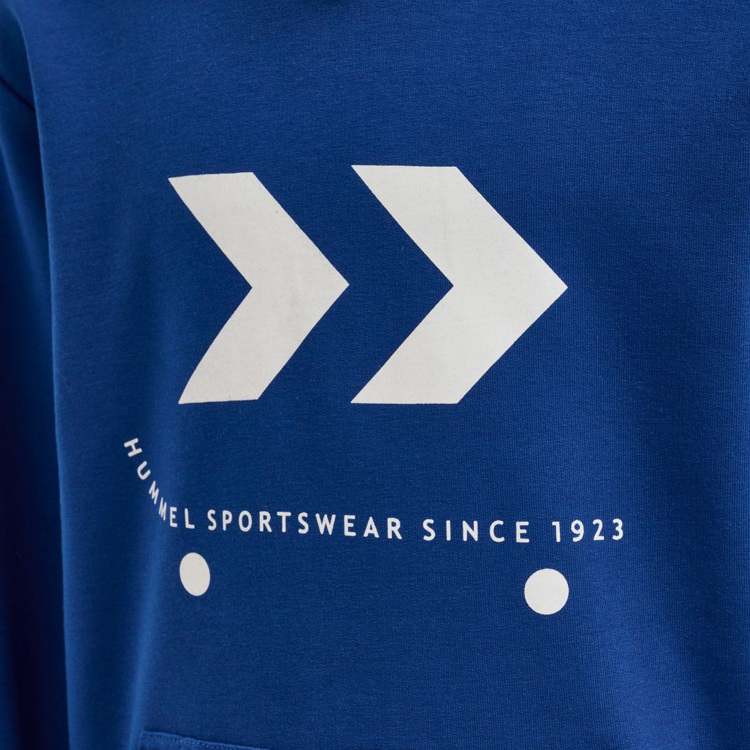 hmlSKATE Hoodie Kids