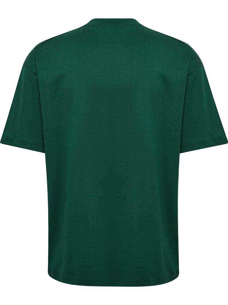 hmlLOOSE Swarm Internationals T-Shirt Kurzarm