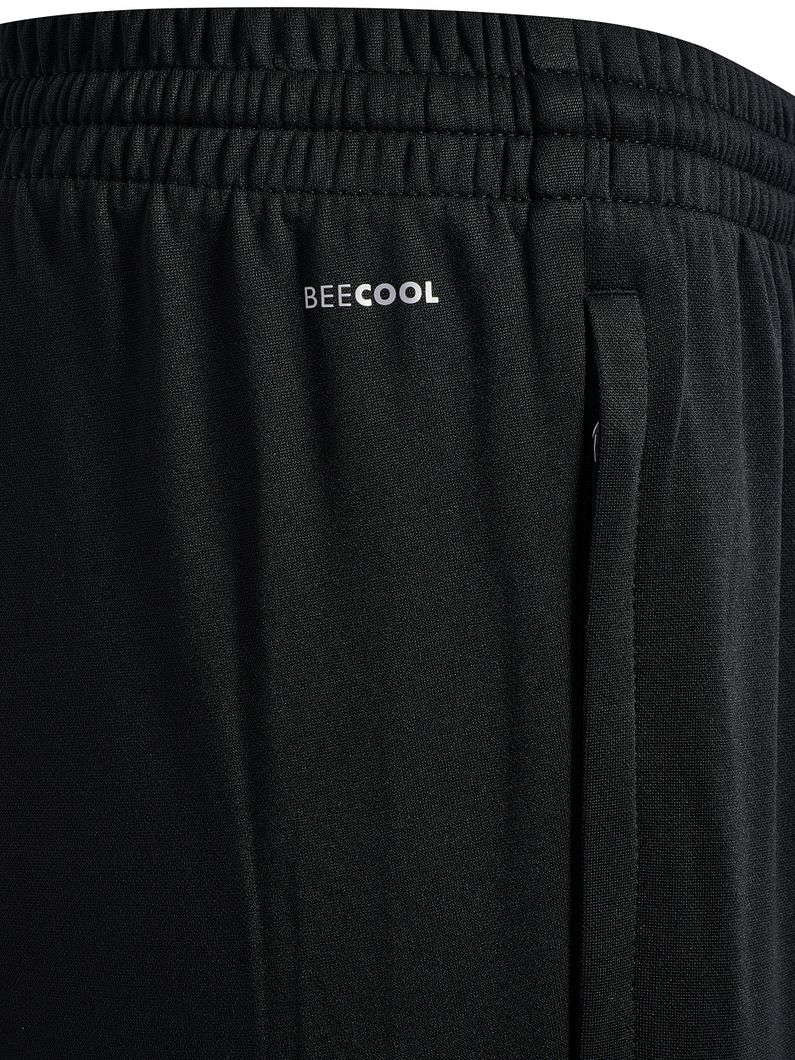 CORE 2,0 Training Pants