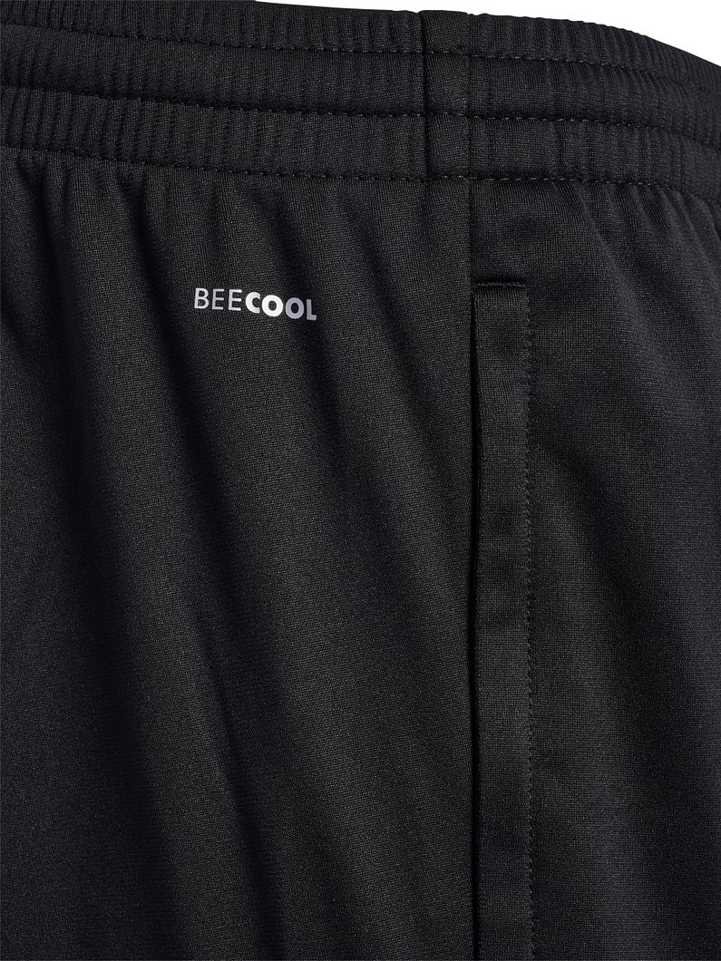CORE 2,0 Trainingshose