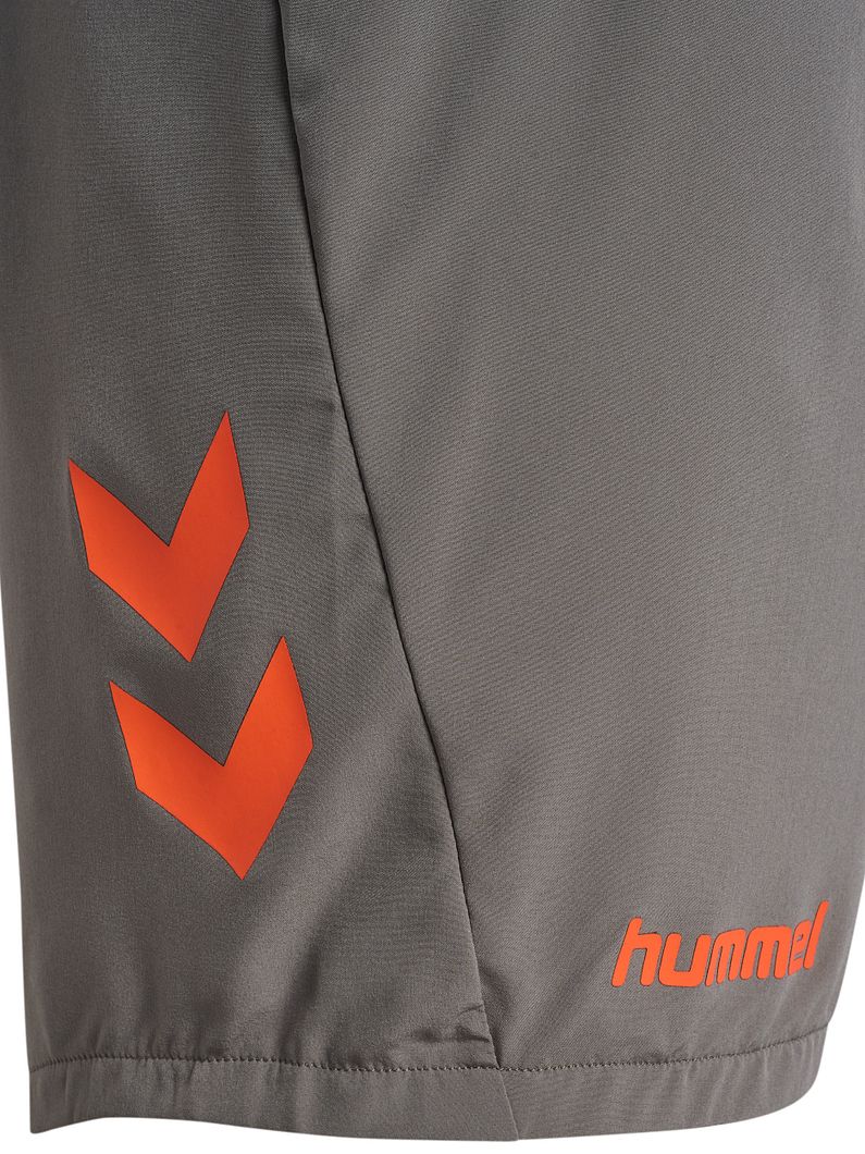 Blaze Pro Training Shorts