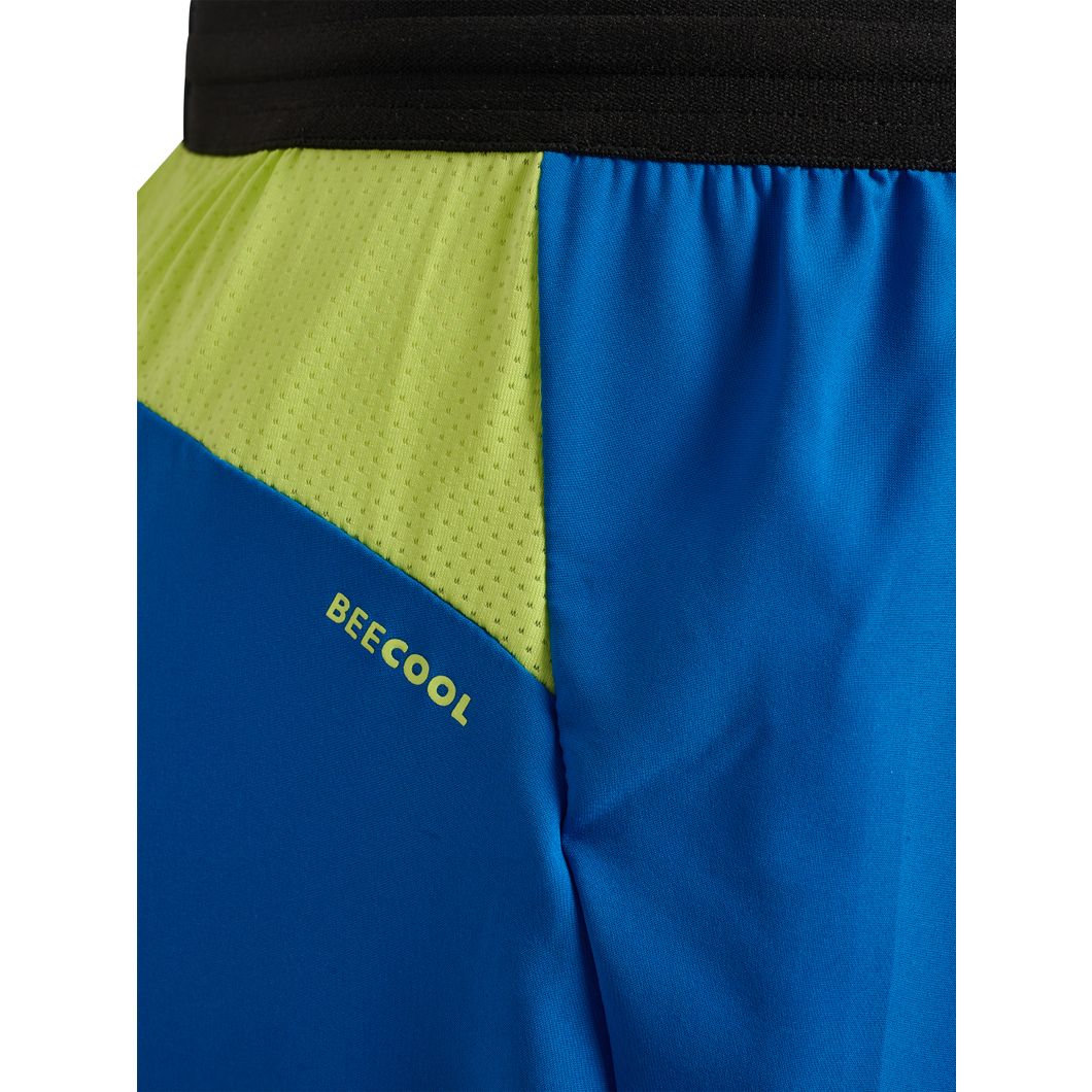 Blaze Pro Training Shorts
