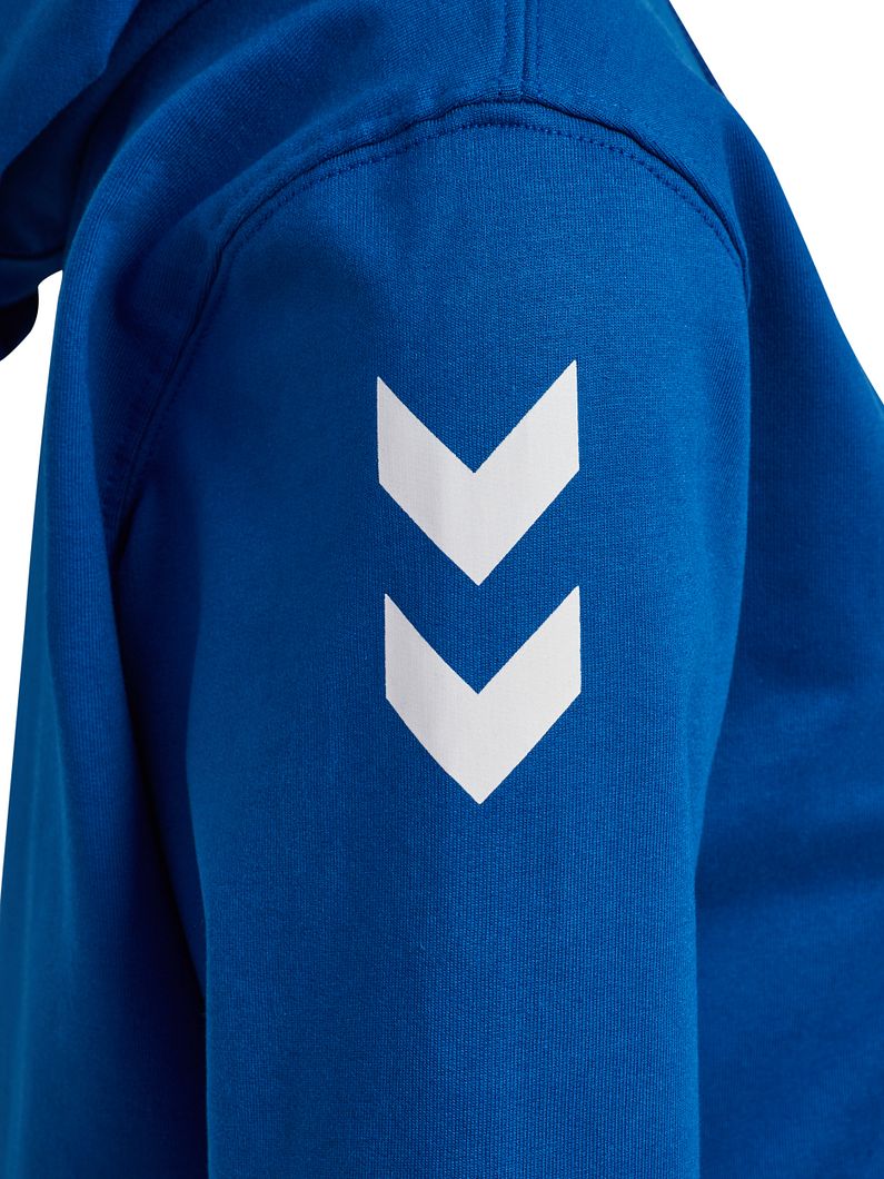 GO 2,0 Chevron Zip Hoodie Damen
