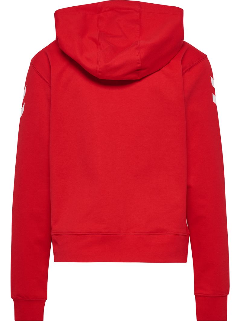 GO 2,0 Chevron Zip Hoodie Damen