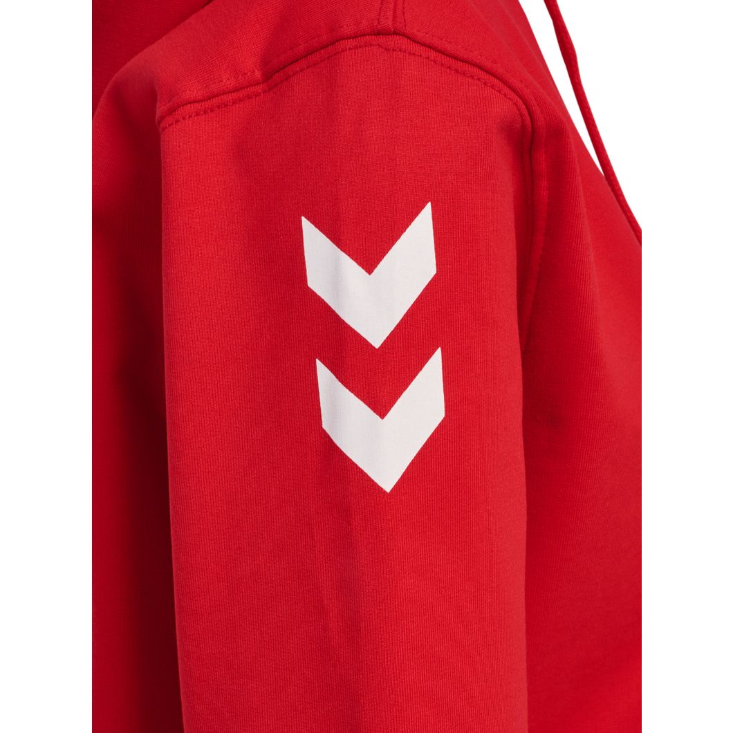GO 2.0 Chevron Zip Hoodie Damen