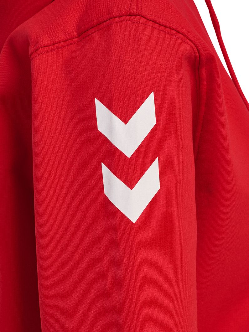 GO 2,0 Chevron Zip Hoodie Damen
