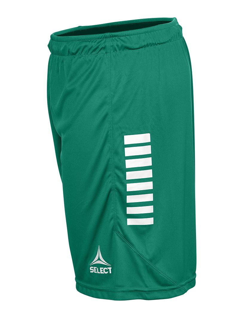 Monaco Shorts v24