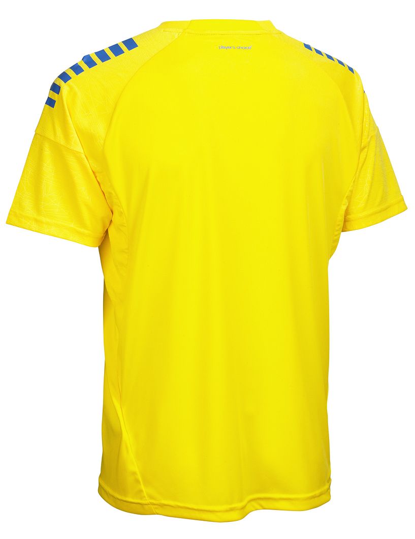Trikot Kurzarm Spain v25