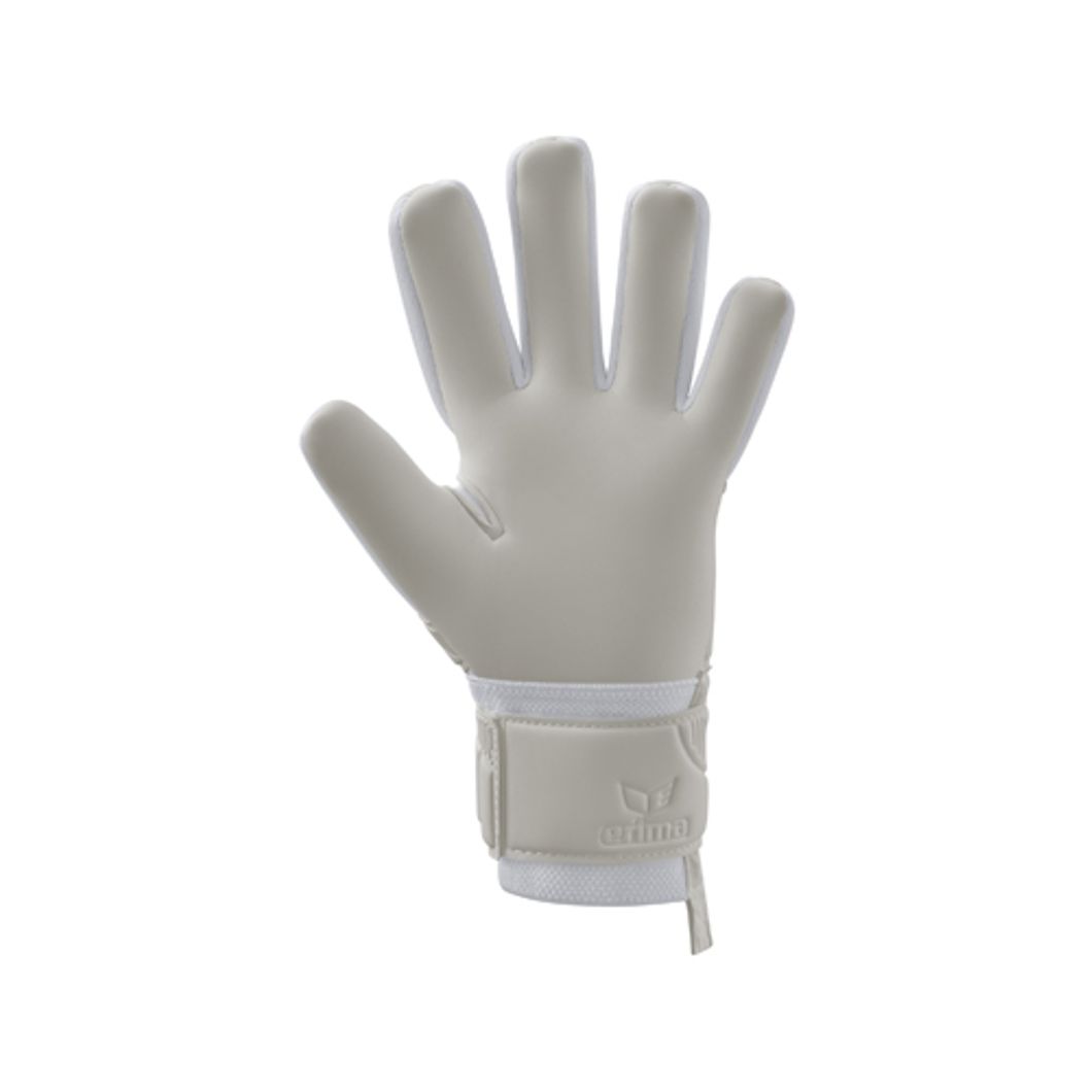 AeroClaw Protect Torwarthandschuh