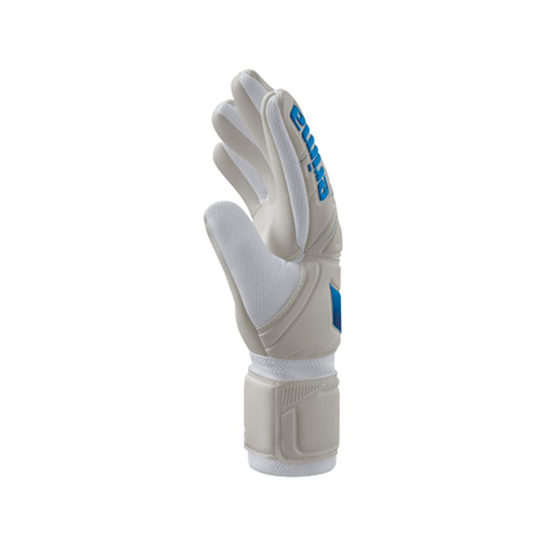 AeroClaw Protect Torwarthandschuh