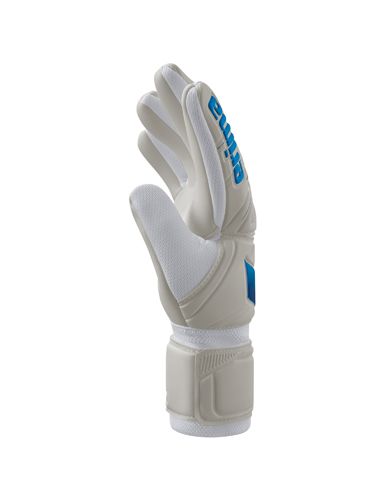 AeroClaw Protect Torwarthandschuh
