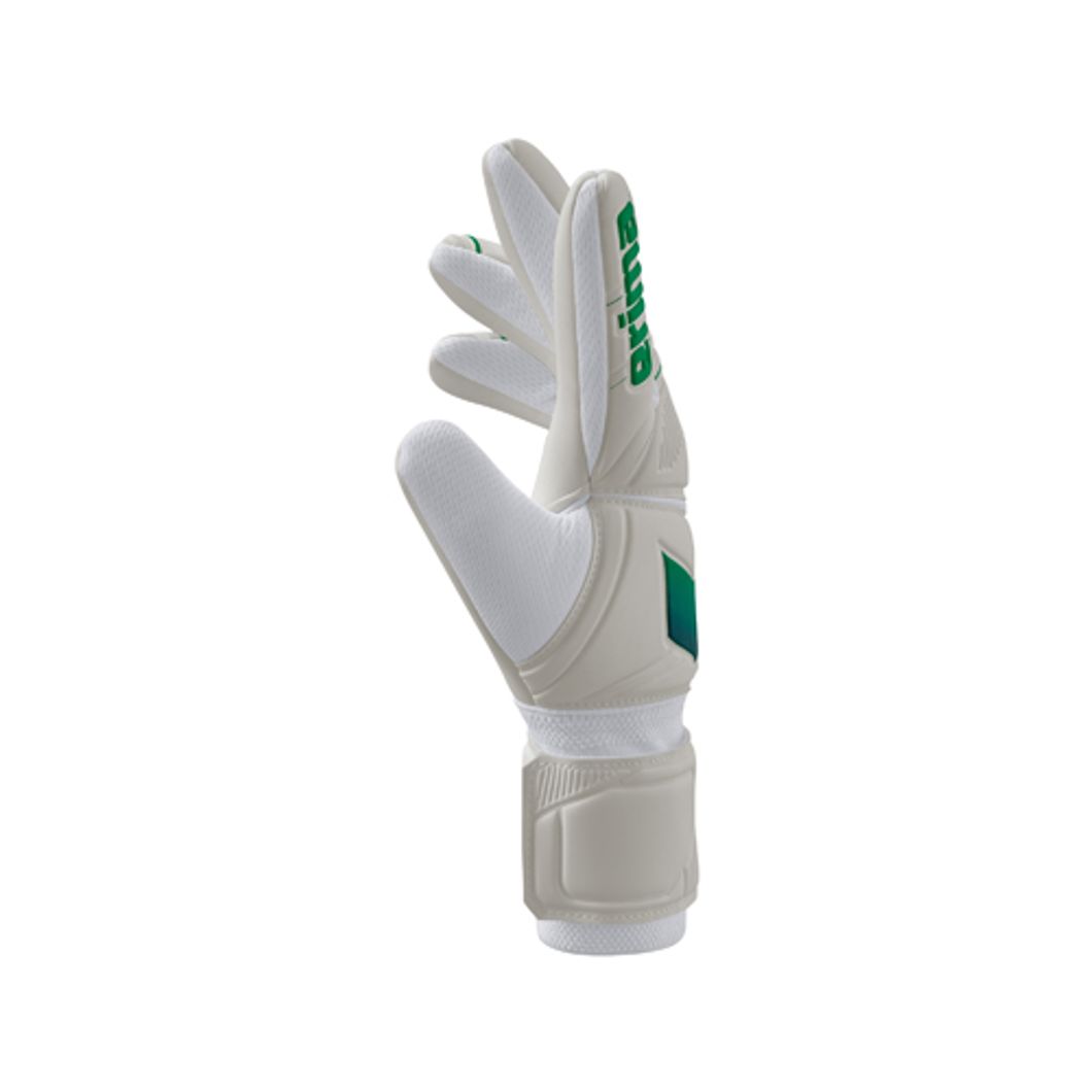 AeroClaw New Talent Torwarthandschuh