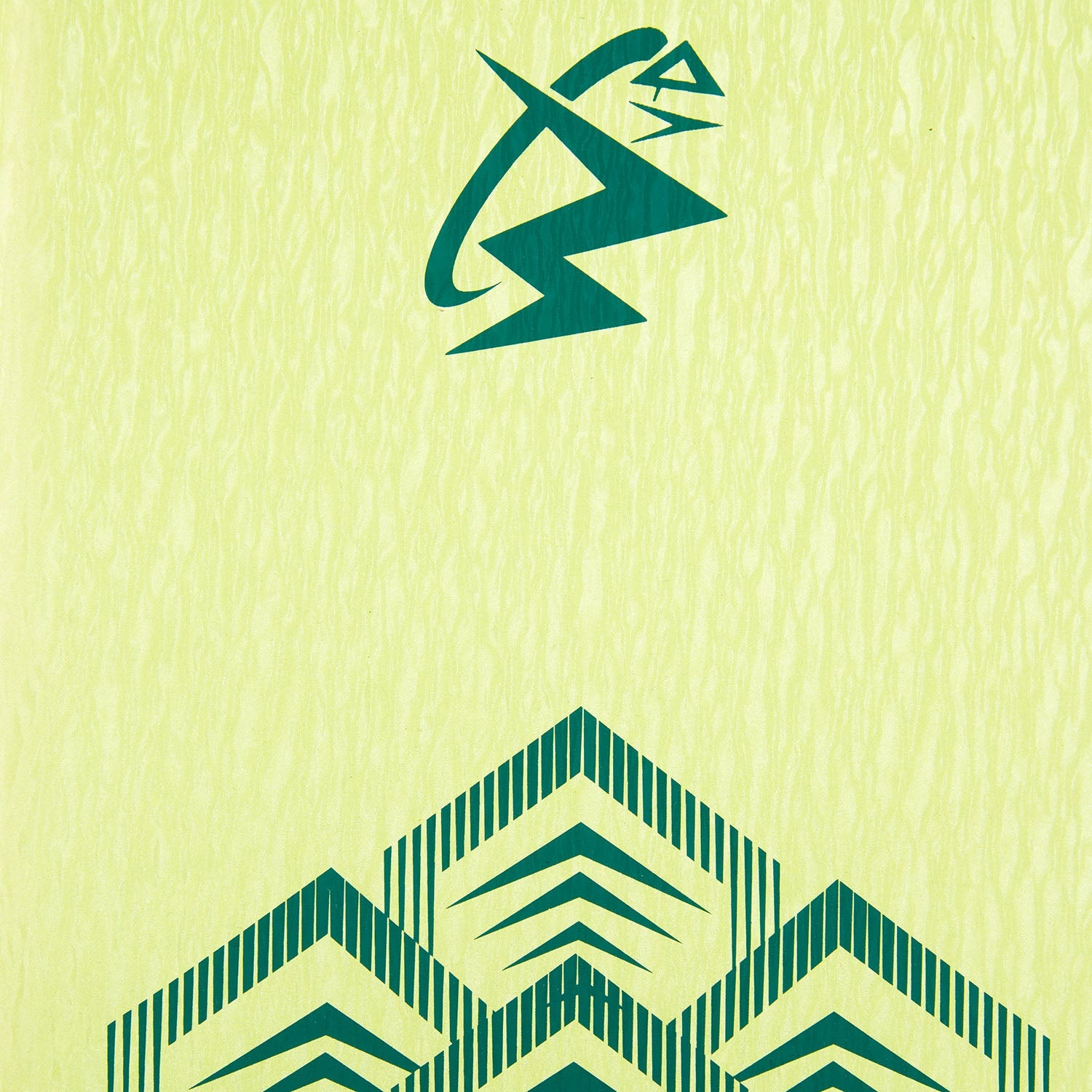 Tischtennis Wang Yidi Schlägerhülle National Team 2025 grün - ABJU033-7