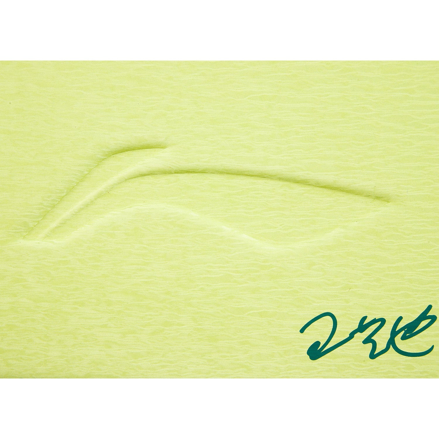 Tischtennis Wang Yidi Schlägerhülle National Team 2025 grün - ABJU033-7