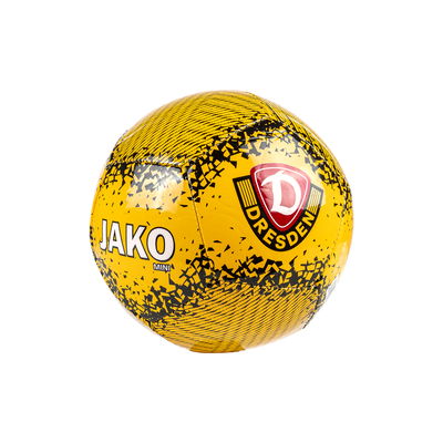 Dynamo Dresden Miniball Performance