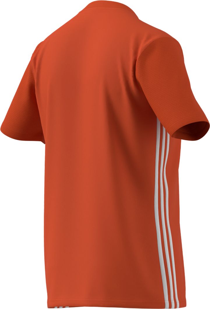 Tabela 23 Trikot