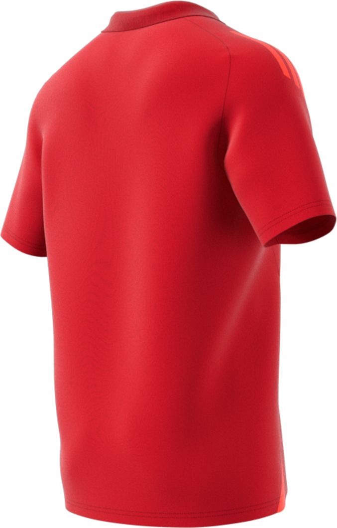 TIRO24 C POLO