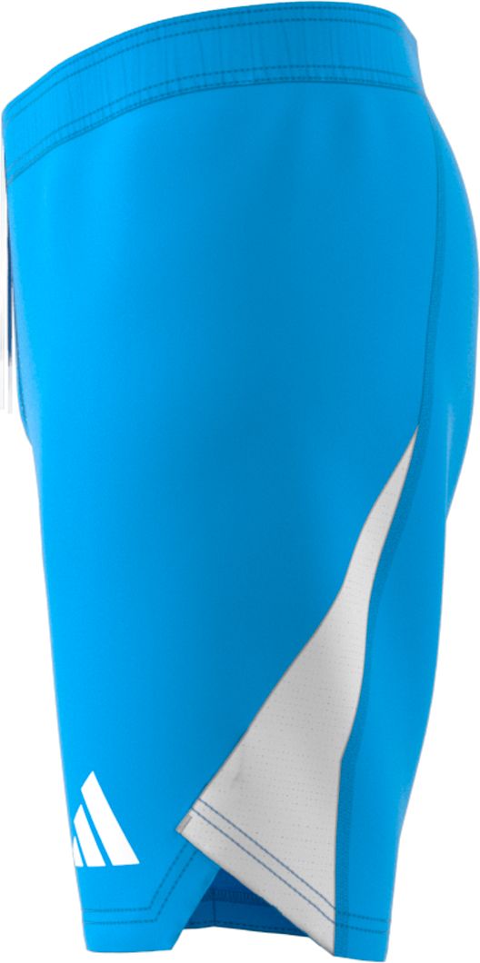 Tiro 25 Pro Torwartshort