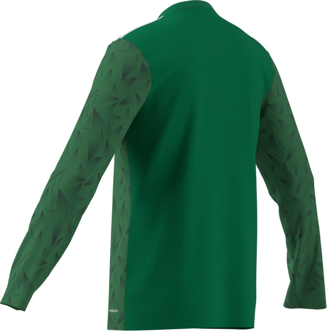 Team Icon 25 Trikot Langarm