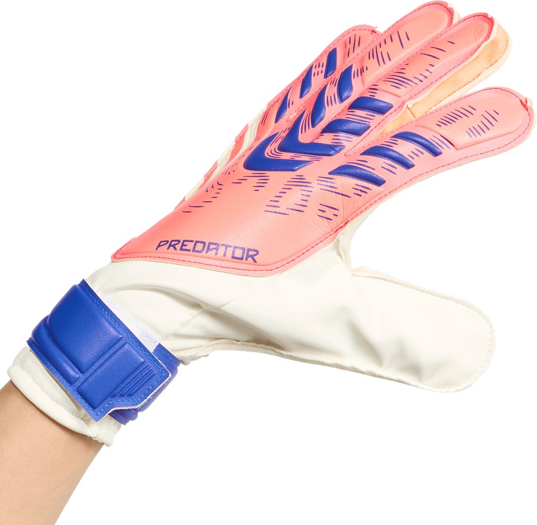 Predator GL Training Torwarthandschuhe