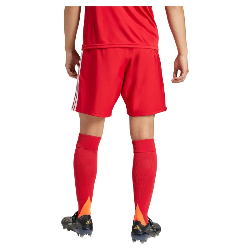 Tastigo 25 Shorts