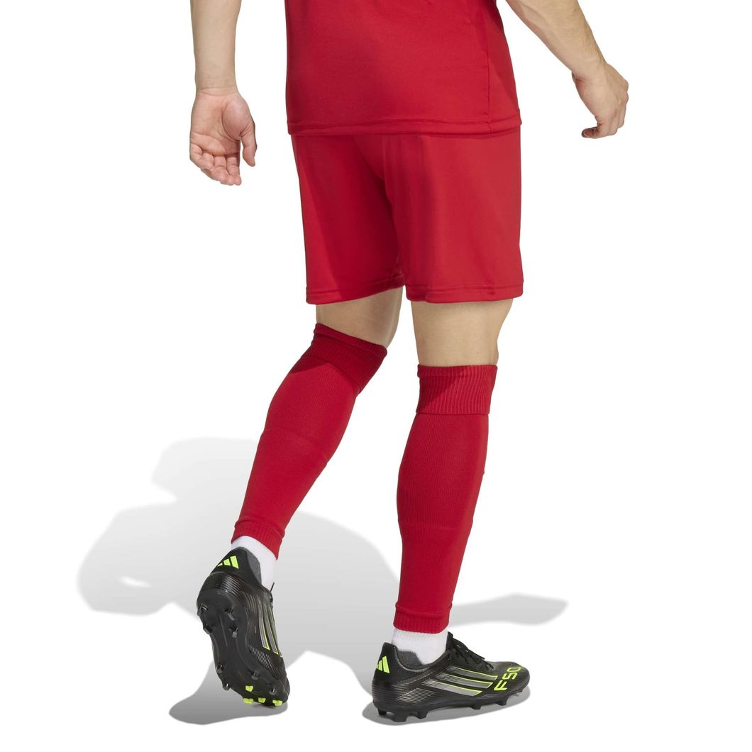 Entrada26 Shorts