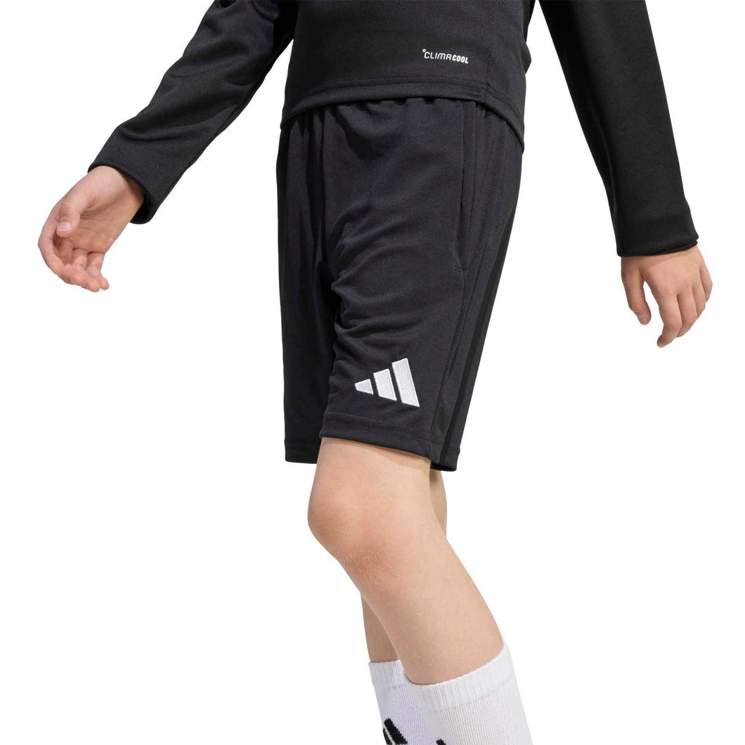 Entrada26 Training Shorts