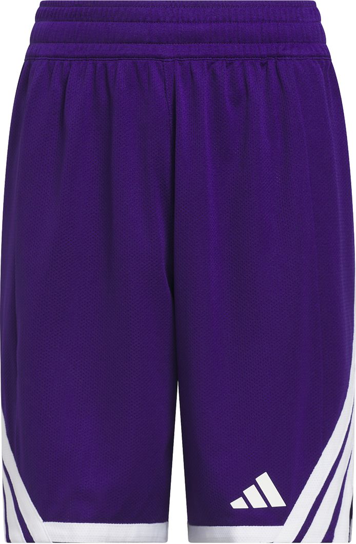 Everyday Pro Shorts