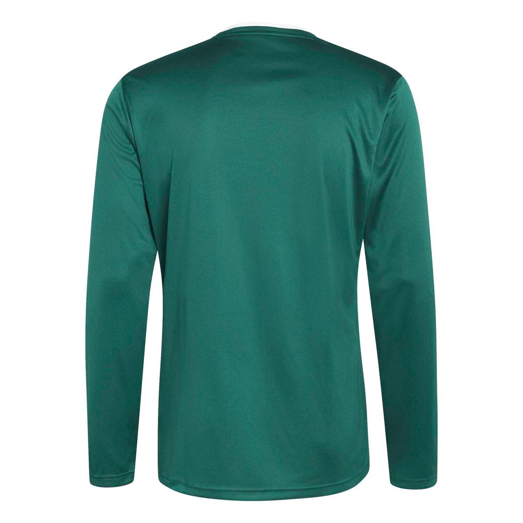 Entrada 22 Langarmtrikot