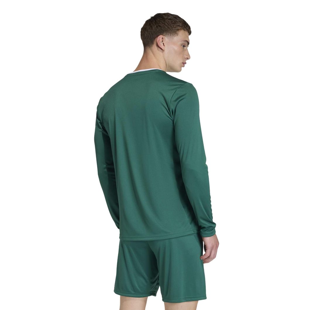 Entrada 22 Langarmtrikot