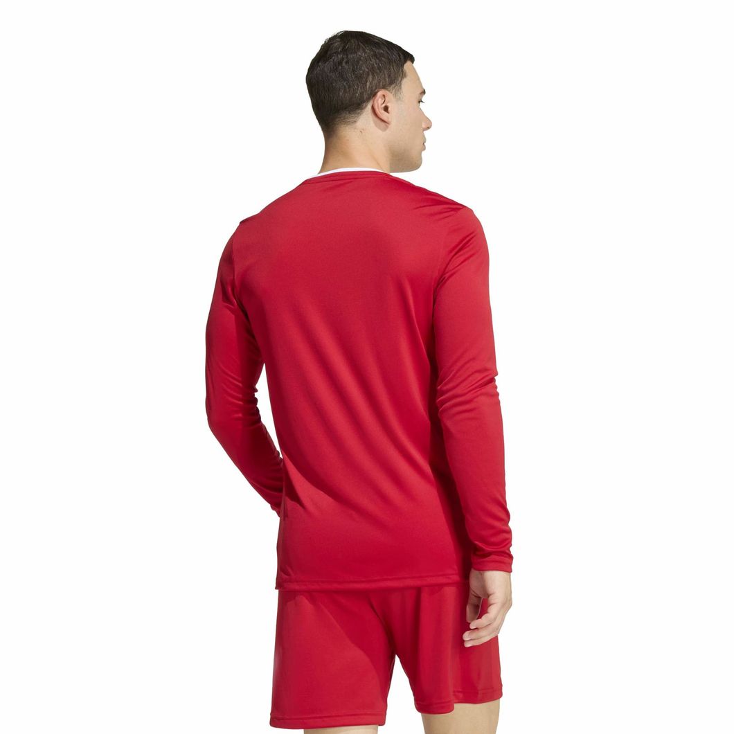 Entrada 22 Langarmtrikot