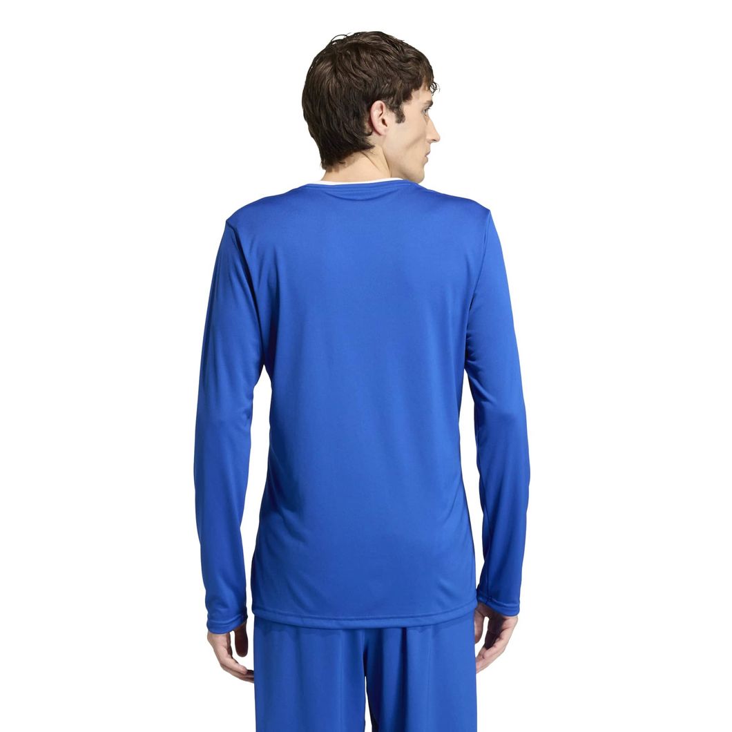 Entrada 22 Langarmtrikot