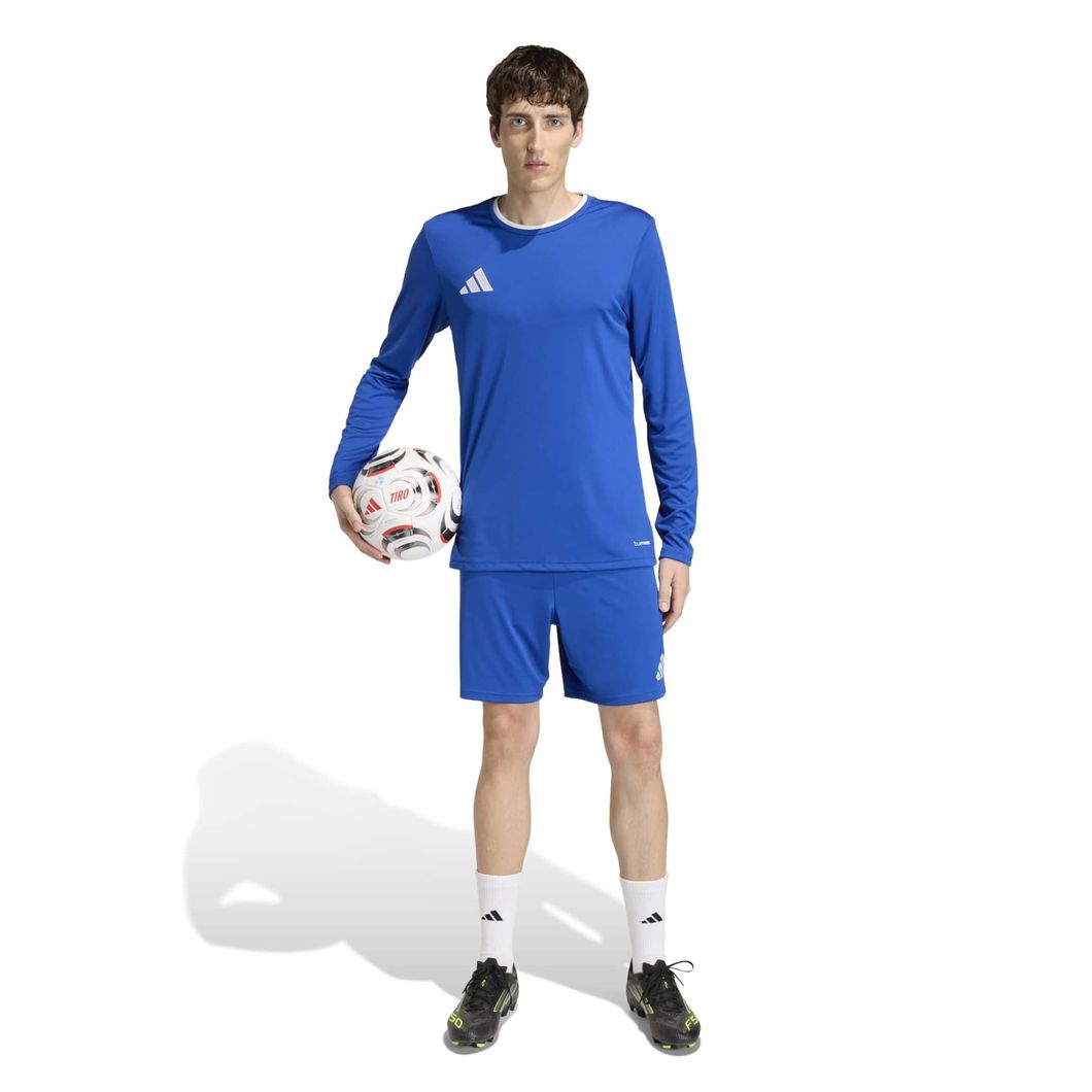 Entrada 22 Langarmtrikot