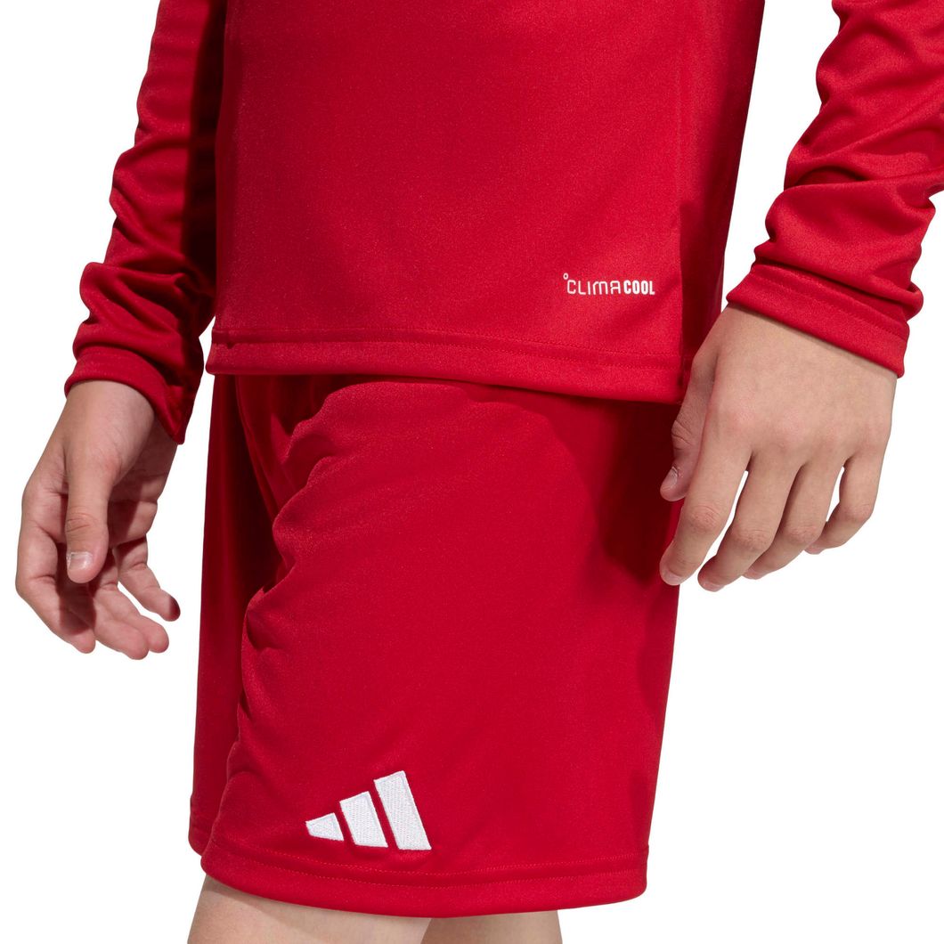 Entrada26 Longsleeve Trikot Jugend Kids