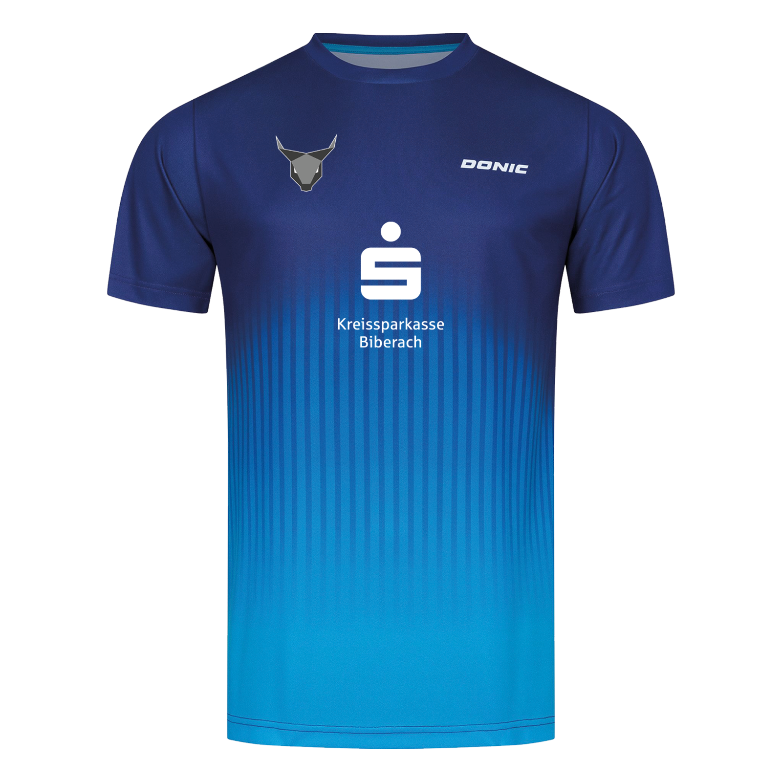 TTF Liebherr Ochsenhausen Aufwärmshirt 26/27